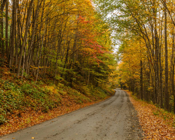 istock Road through changing fall folige of New England 1046098840