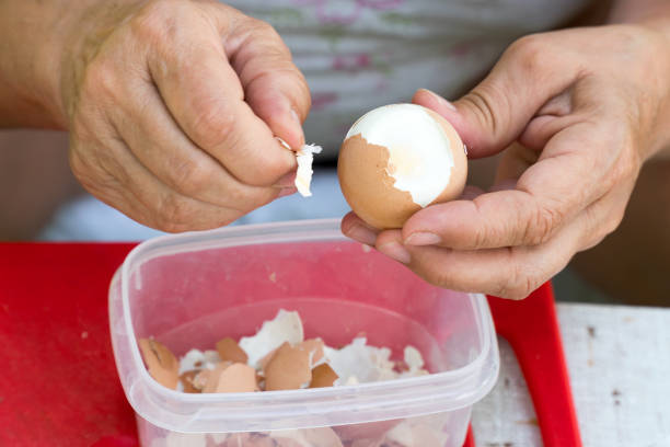 istock Woman cleans a boiled chicken egg from the shell 1046099312