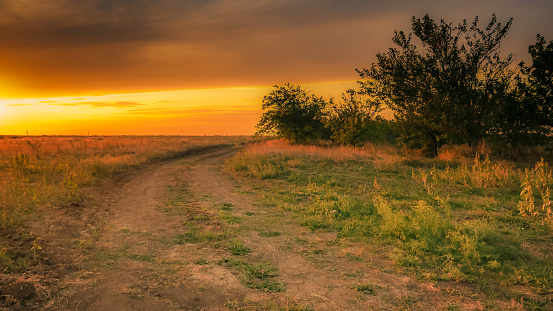 dirt road in the field to the horizon, at sunset