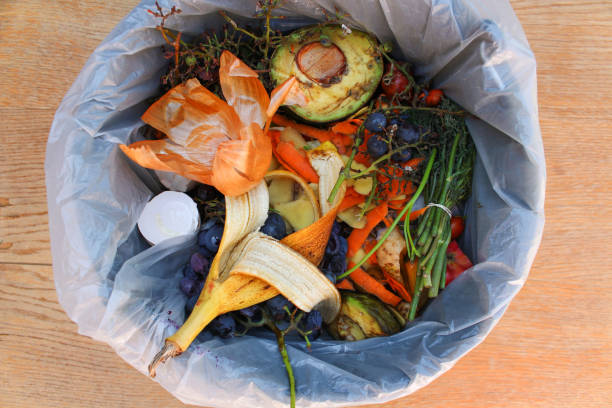 istock Domestic waste for compost from fruits and vegetables in garbage bin. 1046104858