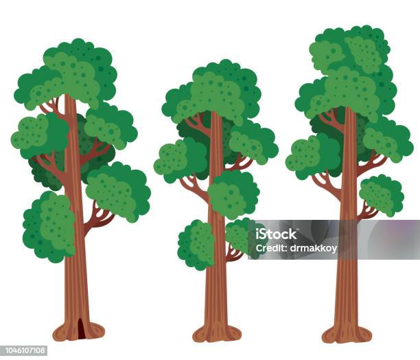 Redwood Tree Stock Illustration - Download Image Now - Redwood Tree, Sequoia Tree, Large