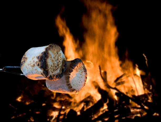 istock Smores near a  campfire 1046112670