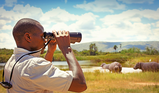 Park ranger with binoculars watching hippos in the Akagera national park