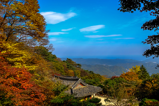 Autumn in seokguram grotto ,Gyeongju,South Korea