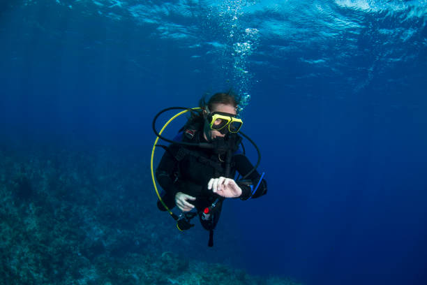 istock Scuba diving at the safety stop 1046116314