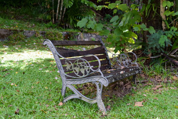 istock Old bench standing in botanic garden, Seychelles 1046120346