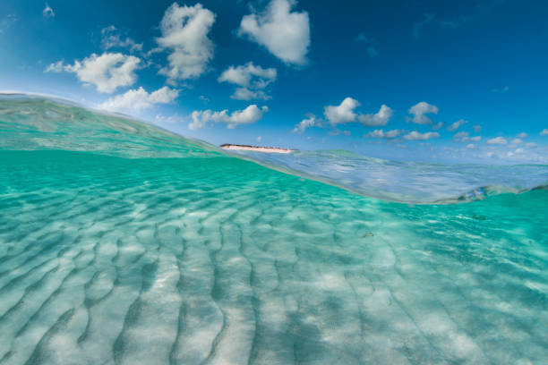 istock Caribbean Sea 1046124360
