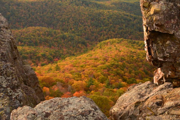 istock Autumn in the Shenandoahs, Virginia 1046128852