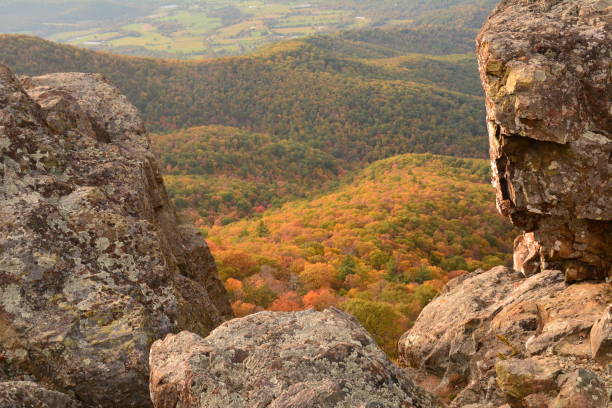 istock Autumn in the Shenandoahs, Virginia 1046129062