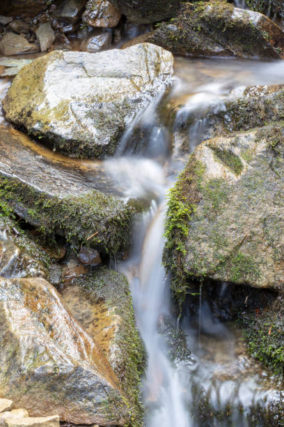 montaña corriente de flujo de agua con verde musgo en el fondo de piedras. cascada con rocas del río. - flowing water stream moss river fotografías e imágenes de stock