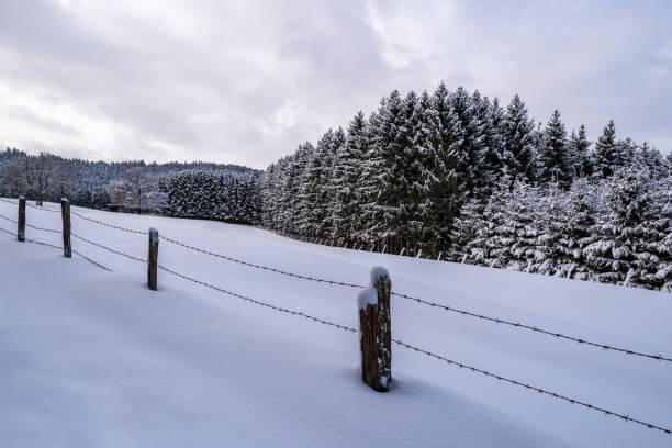 istock View over a field to the snow covered forest 1046133664