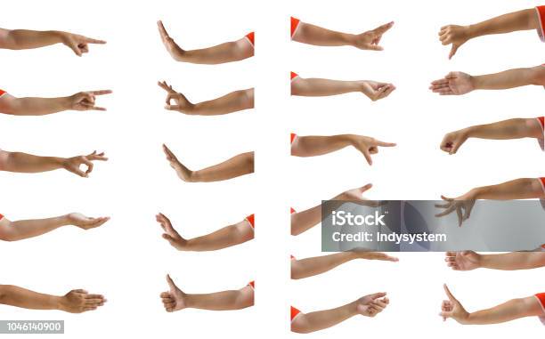 Multiple Female Hand Gesture Isolation On White Background Stock Photo - Download Image Now