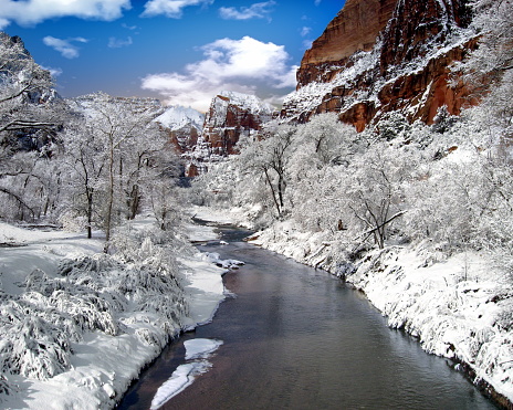 Winter scene in Zion National Park, Utah