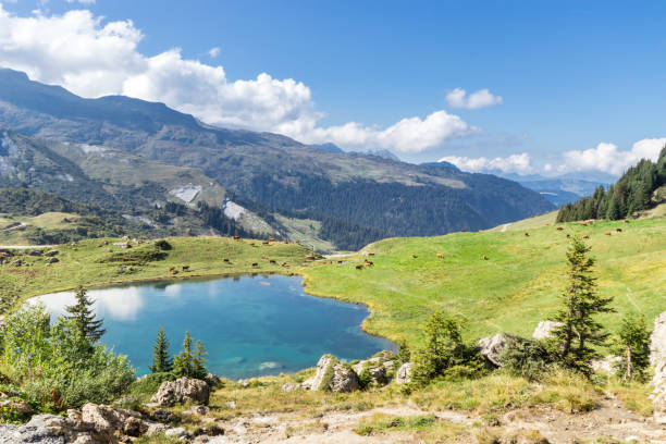 bajkowe jezioro z alp francuskich - mountain valley european alps shade zdjęcia i obrazy z banku zdjęć