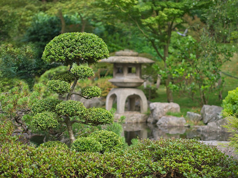 Japanese Zen garden with Bonsai and traditional stone lantern.