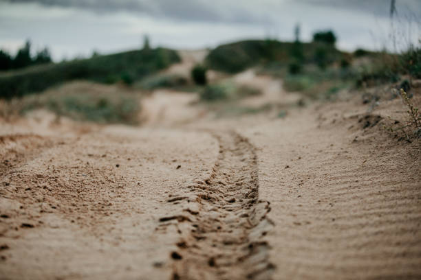 traces de véhicules dans le sable - tire track egypt track africa photos et images de collection