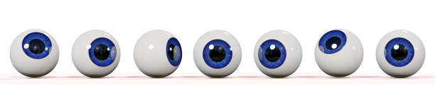 many realistic human eyes with blue iris, isolated on white background (3d illustration banner) row of googly eyes isolated on white ground with shadows german iris stock pictures, royalty-free photos & images