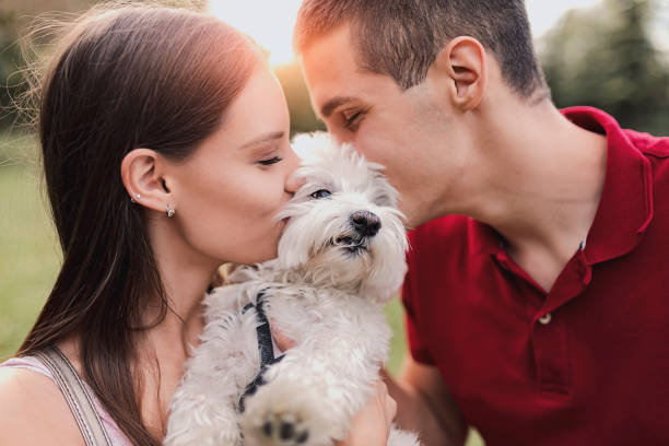 istock He's a couple's best friend 1046187736