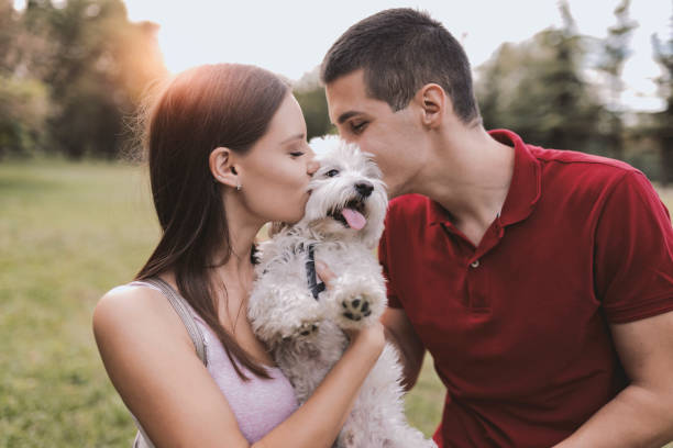 istock He's a couple's best friend 1046187748