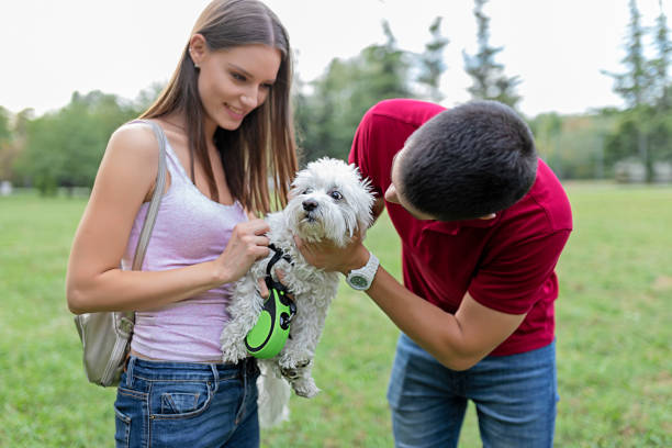 istock He's a couple's best friend 1046187754