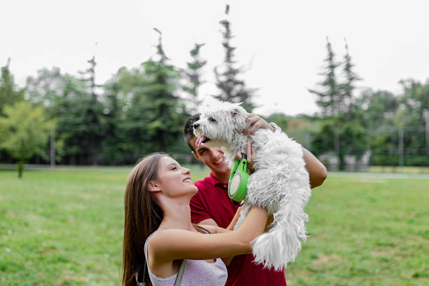 istock He's a couple's best friend 1046189870