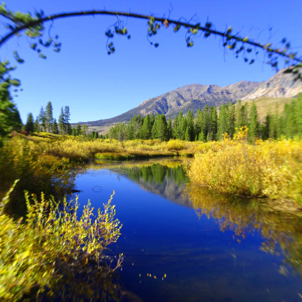 leyendas de otoño - idaho sun valley idaho lake ketchum fotografías e imágenes de stock