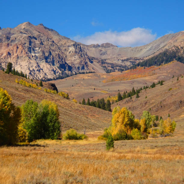 leyendas de otoño - idaho sun valley idaho lake ketchum fotografías e imágenes de stock