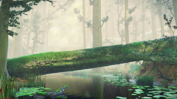 istock fallen tree, natural crossing in fantasy forest, magical landscape 1046190238