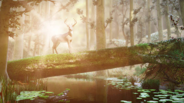 istock deer standing on fallen tree in beautiful misty forest landscape 1046190354