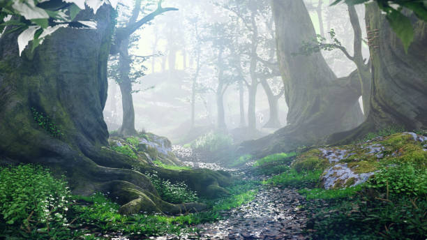 istock path through magical forest at sunrise, mysterious old trees, fantasy landscape 1046192434
