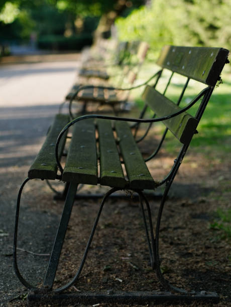 istock Wooden benches at dusk 1046192496
