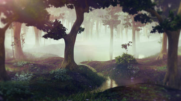 istock foggy fantasy forest with ponds 1046192568