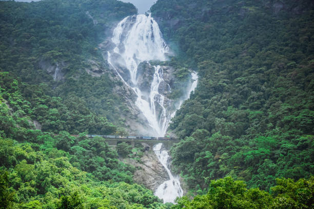 cascata dudh sagar e passando per il treno ponte. india - tropical rain forest foto e immagini stock