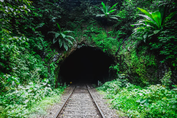 istock Railway tunnel in the wild jungle. India 1046207658