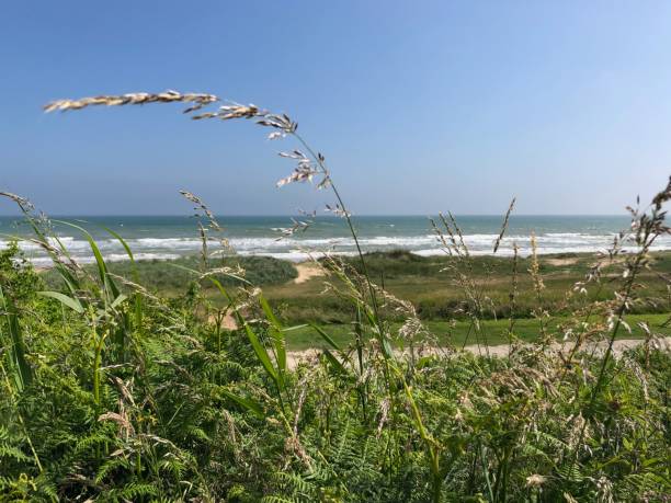 praia de omaha, normandia - hillside vista - iwo jima - fotografias e filmes do acervo