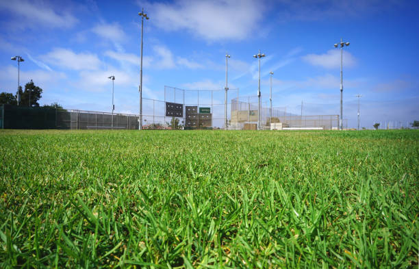 野球場 - baseball baseball diamond grass baseballs ストックフォトと画像
