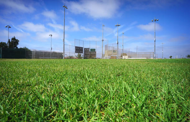 boisko do baseballu - baseball baseball diamond grass baseballs zdjęcia i obrazy z banku zdjęć