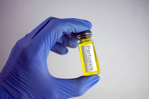 istock Pertussis vaccination concept. close-up, selective focus 1046248950