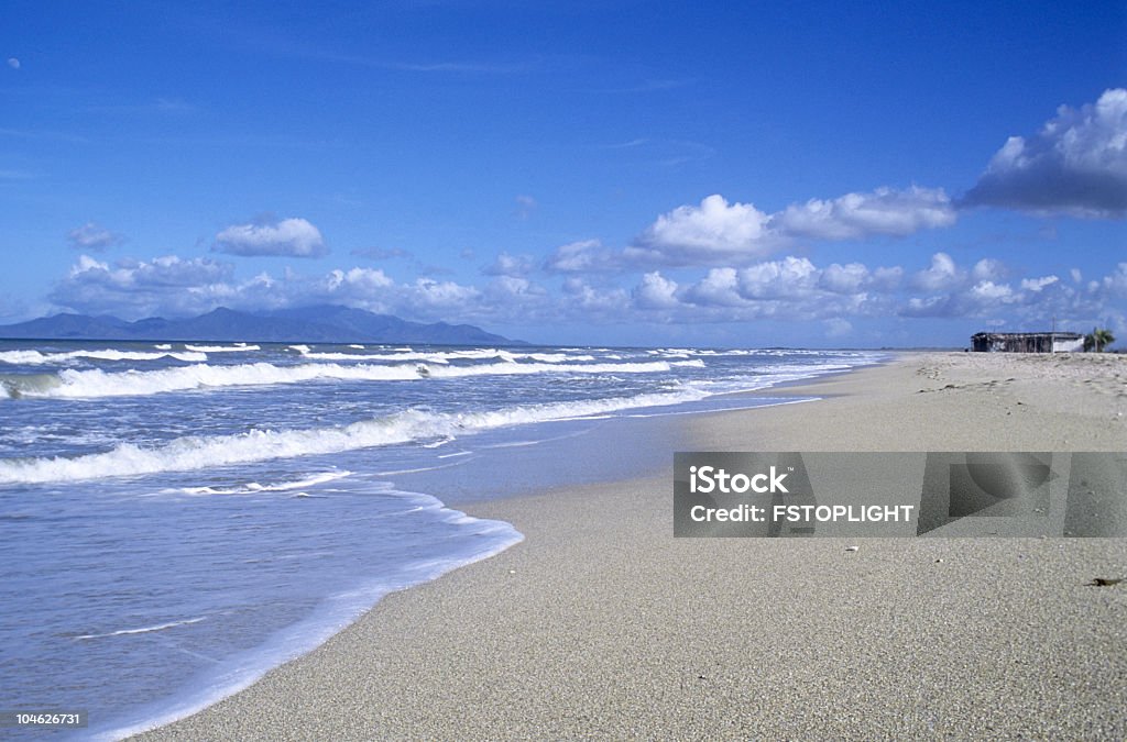 Caribe Tropical playa - Foto de stock de Aire libre libre de derechos