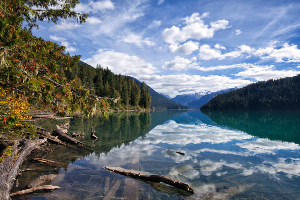 istock Cheakamus Lake in autumn, BC, Canada 1046288462