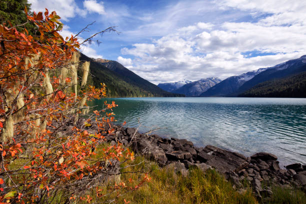 istock Cheakamus Lake in autumn, BC, Canada 1046288668