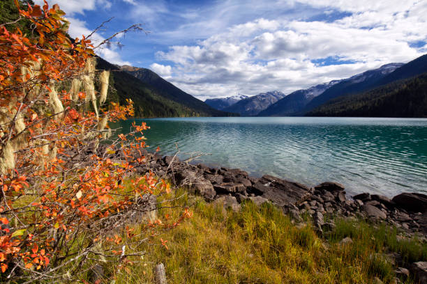 istock Cheakamus Lake in autumn, BC, Canada 1046288674