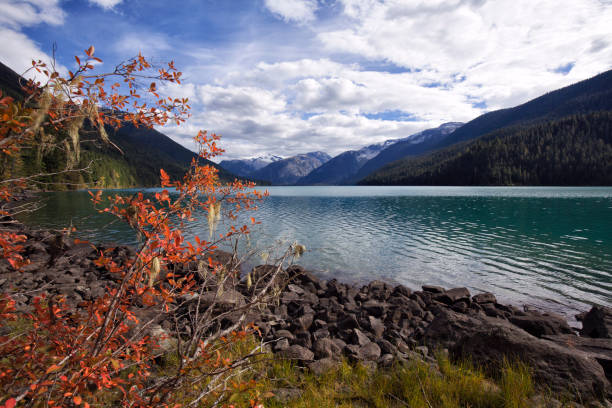 istock Cheakamus Lake in autumn, BC, Canada 1046288676