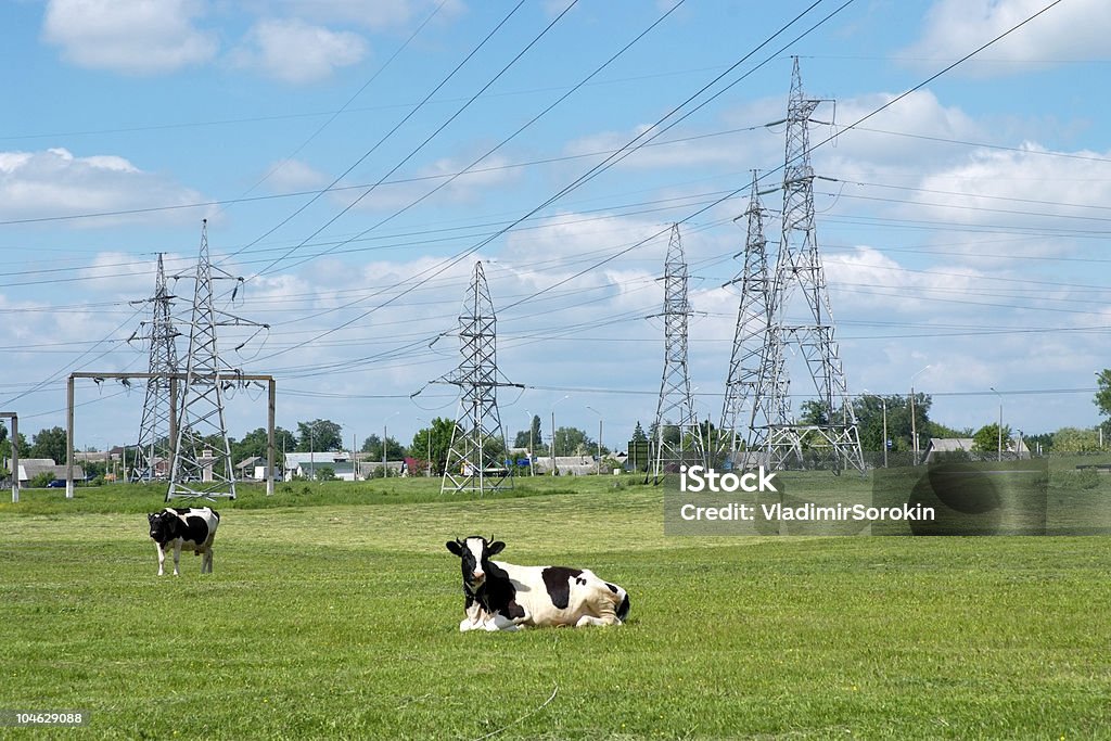 Linha de electricidade de alta tensão - Foto de stock de Alto - Descrição Geral royalty-free