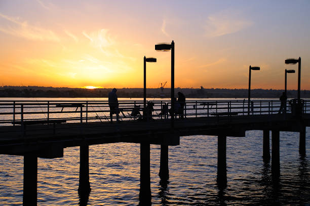 istock Coronado Fery Landing 1046291116