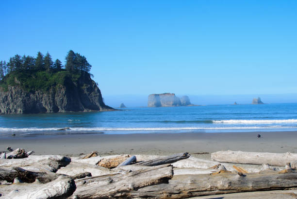 istock Driftwood washed ashore on a rocky coastline as a boy plays 1046293314