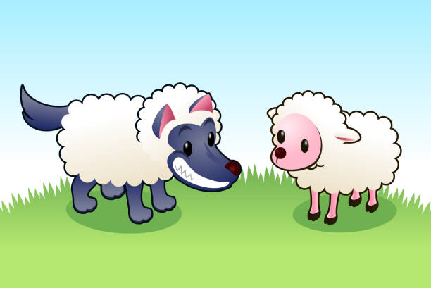 Wolf in sheep’s clothing smiling evilly of innocent sheep Wolf in sheep’s clothing. wolf in sheeps clothing stock illustrations
