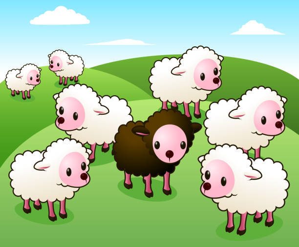 illustrations, cliparts, dessins animés et icônes de un black sheep sur blanc flock groupe de sheeps - belement