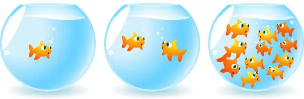 Vector illustration of Goldfish generations fish tanks progression
