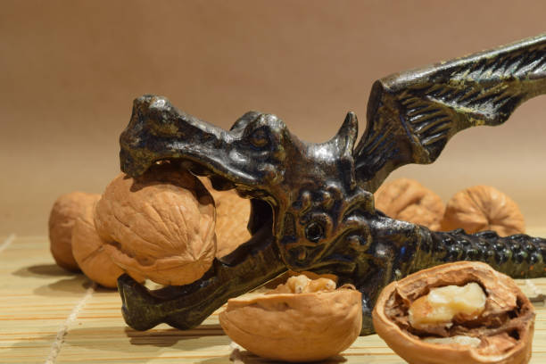 très vieux casse-noisette forme dragon avec le noyer dans les mâchoires - antiquary photos et images de collection